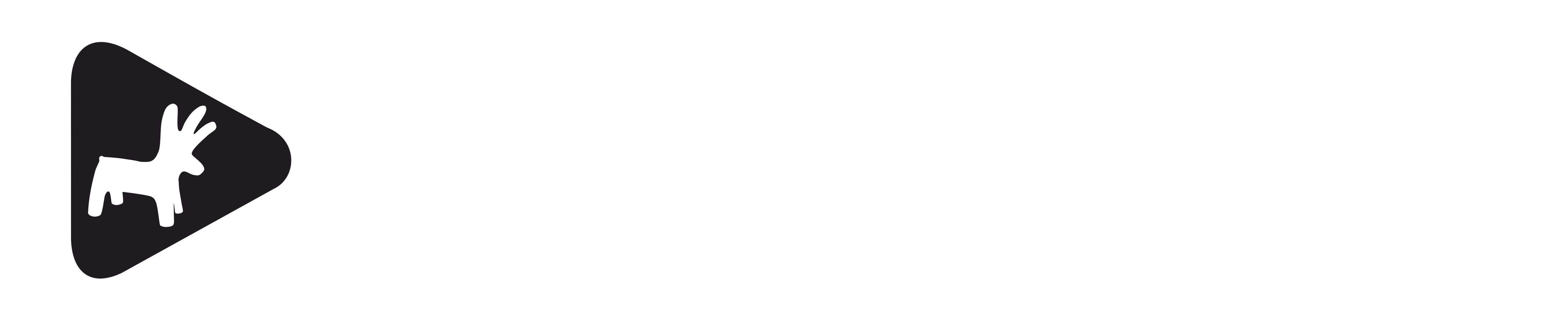 Syntra Media